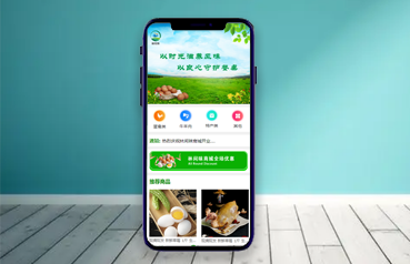 內(nèi)蒙古網(wǎng)站建設(shè),林間味